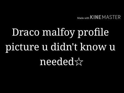 Draco Malfoy Pfp