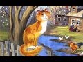 Веселые детские песенки | Рыжий кот Мурлыка 
