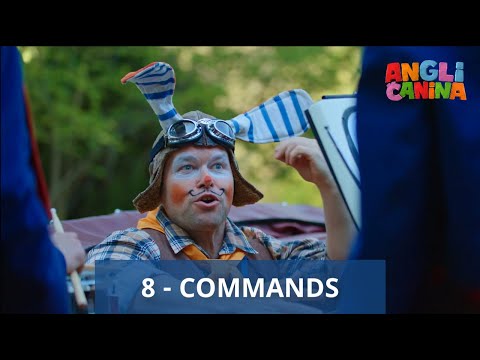 8. Lekcia - COMMANDS | povely | ANGLIČANINA 2