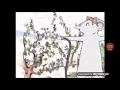 Angelina Ballerina Friends Forever Video DVD Trailer