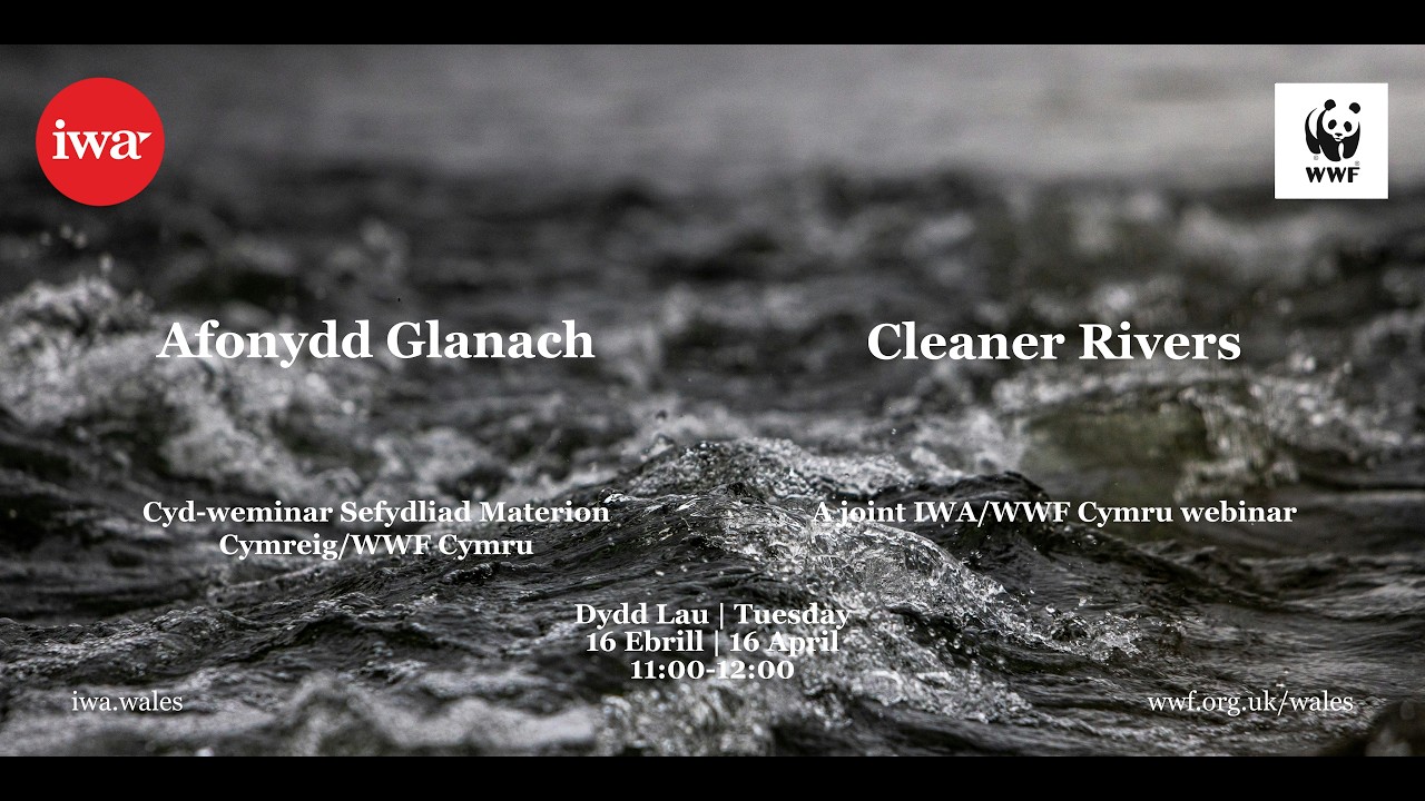 16/04/2026 - Cleaner Rivers with WWF Cymru