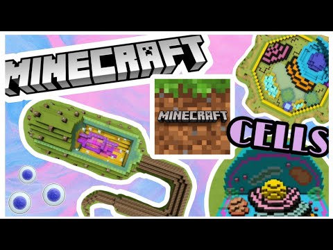 Patricia Marcos - Bacterial, Plant, and Animal Cell ( MINECRAFT )