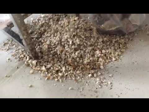 Coconut Cutting Machine