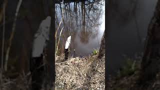 О рыбалке как ловить вьюна