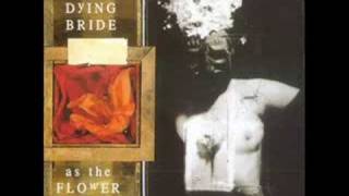 My Dying Bride -  The Forever People