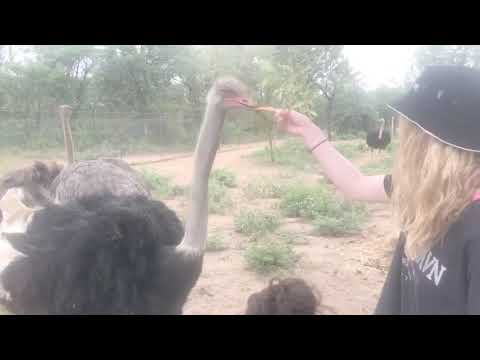 Riverside Wildlife Rehabilitation Centre