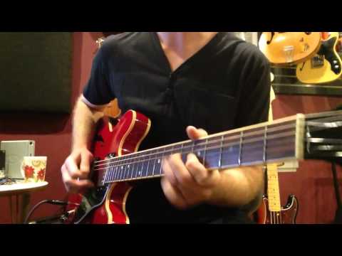 Pretzel Logic - Walter Becker - Jon MacLennan Guitar Solo