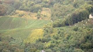 Whistling The Blues In The Rain -- Hammond Gamble