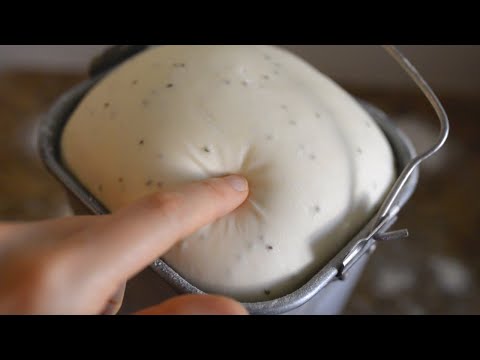 All-In-One Master Dough: How to Make Dough for Sheng Jian Bao, Da Bing, Mantou, and Baozi 如何製作麵團
