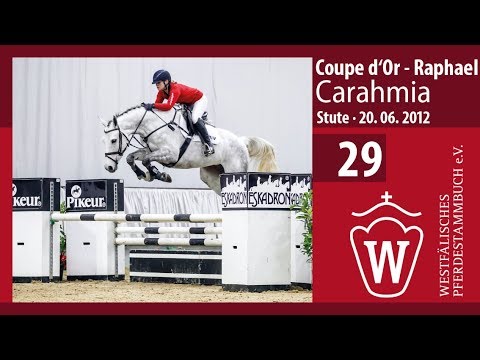 29 Carahmia Stute v. Coupe de Coeur - Raphael