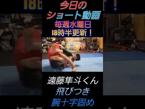 小学生の飛びつき腕十字固め #格闘技 #総合格闘技 #キッズ #mma #kidsmma