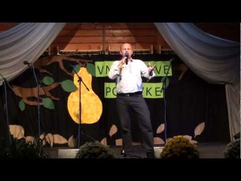 IVAN BENC - Meni treba (Vnucekove Popevke, Radoboj 2012) [HD 1080p]