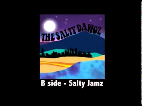 The Salty Dawgz - Old Dogs New Tricks (Full Single)