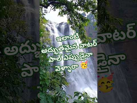 Tarab pittalabora waterfalls #viral #trending #ytshorts #nature #tarab #waterfall