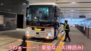俺はただ、夜行バスの紹介がしたいんだよ！【ドリームルリエ・プレシャスシート乗車記録】