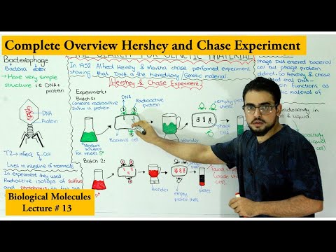 Hershey and Chase Experiment | Discovery of DNA as Genetic Material |