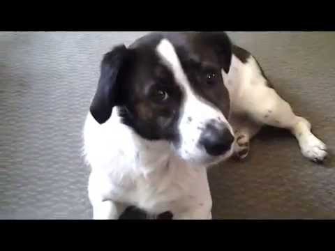 Cajun Fiddle Waltz - The Cherokee Waltz