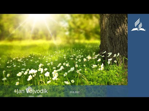 Jan Vojvodík 20.8.2022  Společná bohoslužba Ostravských sborů