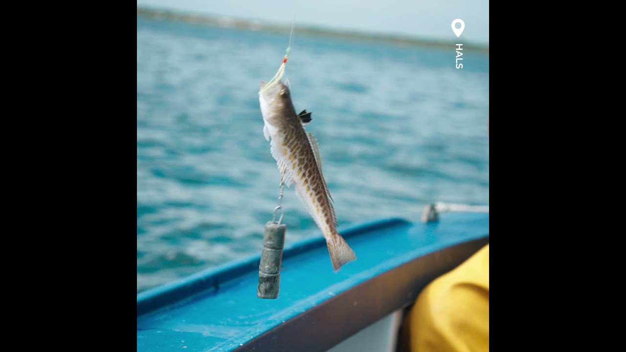 Frem med fiskestangen