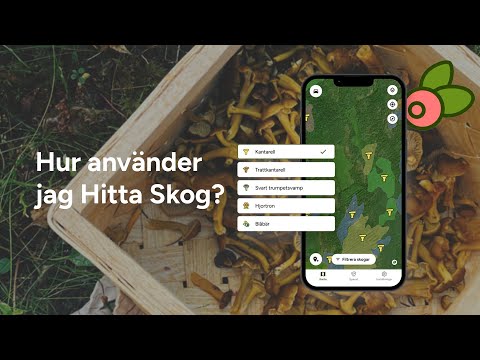 Hitta Skog: Svamp och Bär