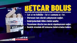 Süt Sığırlarında Üreme Sorunlarına Son BETCAR BOLUS / Solvet Veteriner