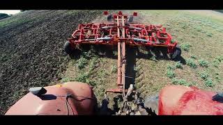 Cultivator miriste universal "Odisey"