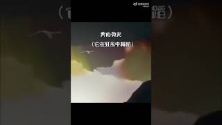 Download lagu Melancholy Sunshine Instrumental 🌈 Stable Diffusion #张哲瀚 #zhangzhehan #zzh #zzh_fanarts mp3