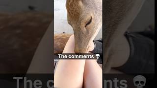 Download lagu The comments 💀#comment  #meme #reels #funny #fyp mp3