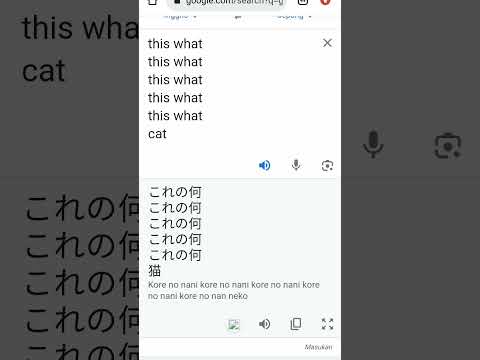 WAIT!? WHAT HOW DOES EVEN WORK!? #shorts #googletranslate