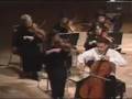 Pieter Wispelwey - Haydn Cello Concerto in C - Moderato