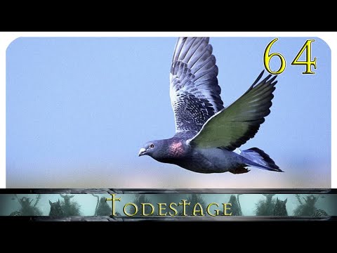 [64] [DSA] Der Unersättliche - Der Weg der Brieftauben (9.6)