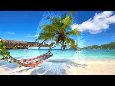 Cassellbeats -"Tropical" | B young X 23 X Yxng bane Type beat | Afroswing/Afrotrap Instrumental