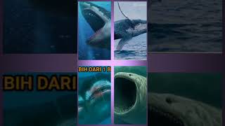 Download lagu ikan nabi Yunus dan megalodon mp3 Download lagu ikan nabi Yunus dan megalodon mp3