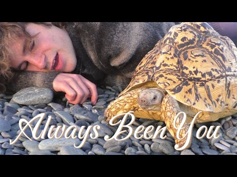 Liam Mockridge - Always Been You (Official Music Video)