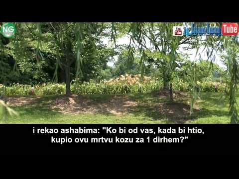 Vrijednost dunjaluka