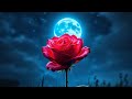 Misspriya Is Live Good Evening Radhe Radhe Sabhi Ko Welcome To My Life ️ ️ ️ ️