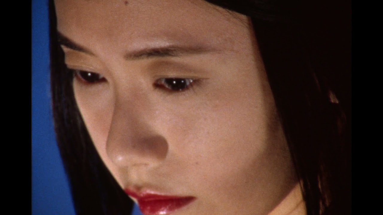 One should never be cured (excerpt)