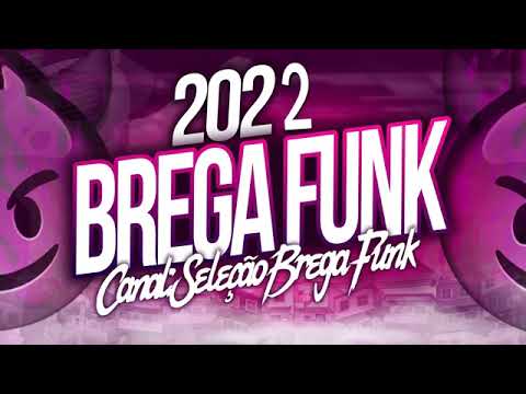 SELEÇÃO BREGÃ FUNK 2022 SÓ LANÇAMENTO REPERTÓRIO NOVO MÚSICA ATUALIZADAS