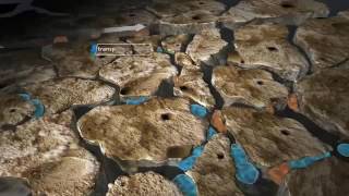 How CO2 is used in EOR