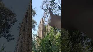 Download lagu kesan Dari petir. mp3 Download lagu kesan Dari petir. mp3