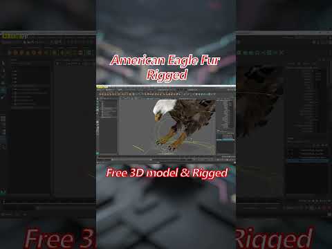 American Eagle #shorts #cgi #character #animation  #eagles