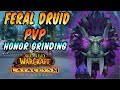 Druid Feral PvP | Honor Grinding | Feral Druid Dps Amazing in Cata PvP | Cataclysm Classic WoW 4.4.0