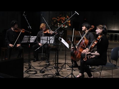 Taylor Joshua Rankin, Smear Music - string quartet (official video)