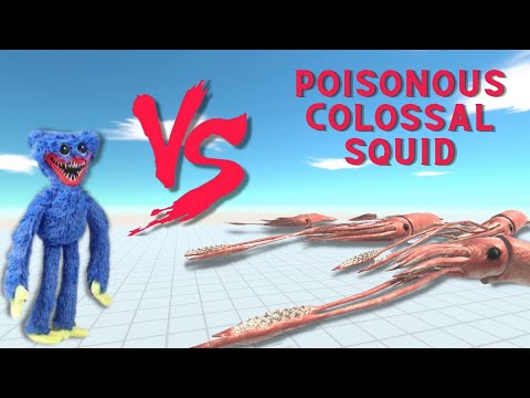 Poisonous Colossal Squid VS Poppy Playtime Huggy Wuggy | Animal Revolt Battle Simulator