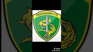 Download lagu Lagu persebaya mp3
