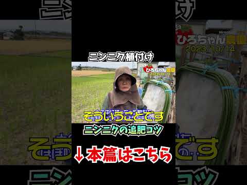 園芸 ニンニク煎じ薬