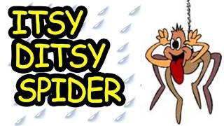 Itsy Bitsy Spider - Itsy Ditsy Spider - Children's Song by The Learning Station