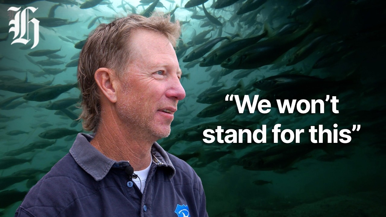 Fishing host Matt Watson blasts plan to remove commercial fishing legal size limits