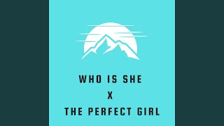 Cover art for who is she x the perfect girl