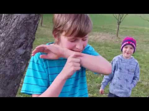 Die Brennnessel - Eine Pflanze mit High Tech vom Feinsten